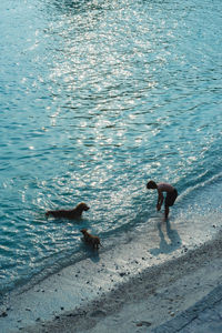 High angle view of people at beach