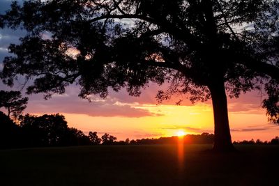 Silhouette trees on landscape against sky at sunset