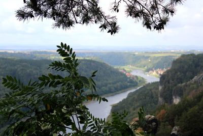 Scenic view of tree mountains against sky