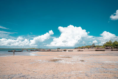 Tropical beach with rocks, lush vegetation on pemba island