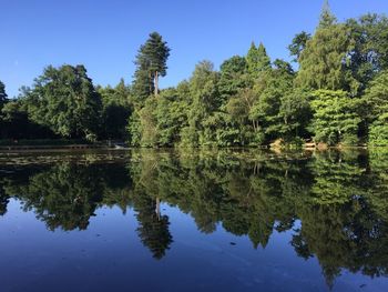 Reflection of trees in lake against blue sky