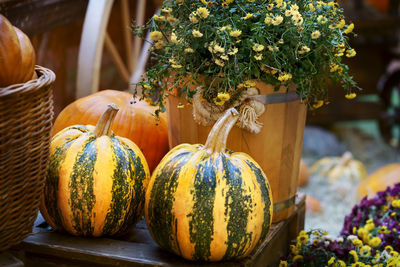 Close-up of pumpkin