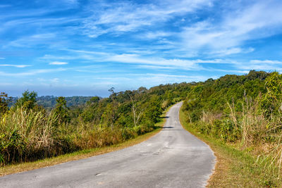 Empty road along plants and trees against sky