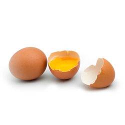 Close-up of yellow eggs against white background