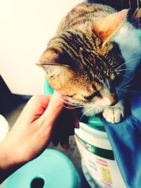 Close-up of cropped hand