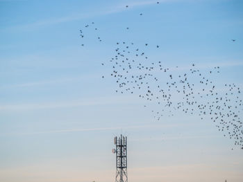 Low angle view of birds flying against sky