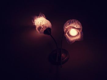 Close-up of illuminated light bulb