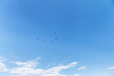 Low angle view of birds flying in sky