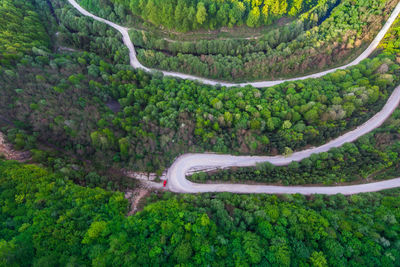 High angle view of road amidst trees in forest