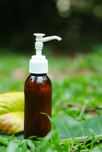 Close-up of green bottle on field