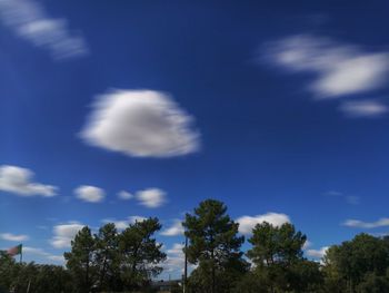 Low angle view of trees against blue sky