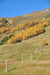 Scenic view of field against clear sky