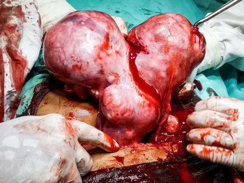 High angle view of person hand