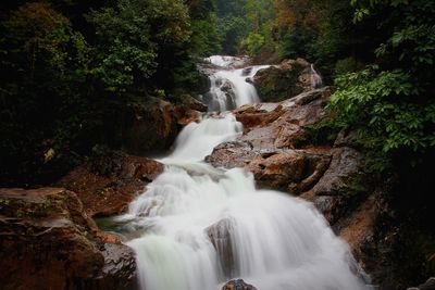 Scenic view of waterfall in forest