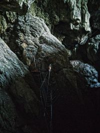 Close-up of rock formation