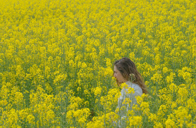 Full frame shot of yellow flowering plants on field