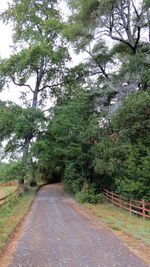 Road amidst trees against sky