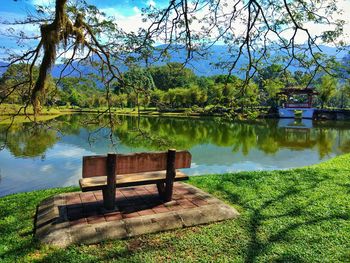 Bench by lake against trees