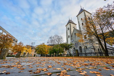 Autumn leaves on building by trees against sky