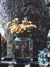 Close-up of flowers in vase