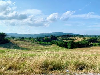 Scenic view of agricultural field against sky