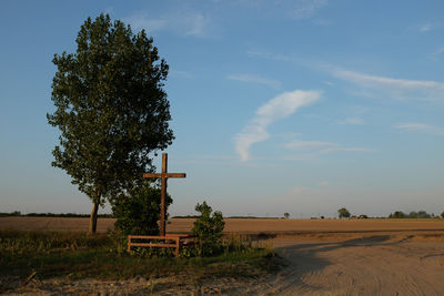 Tree on field against sky