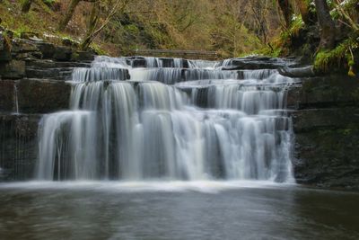 Scenic view of waterfall in forest