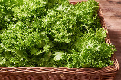 High angle view of kale in basket on table