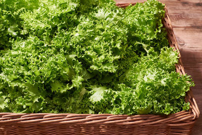 Close-up of vegetables in basket