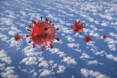 Low angle view of red flowering plant against sky