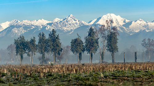 Scenic view of snowcapped mountains against sky