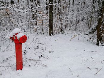 Road sign on snow in forest