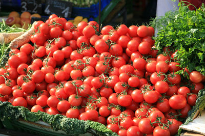 Colorful tomatoes on vienna's green market.