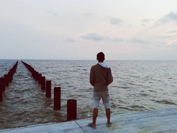 Rear view of man standing on beach