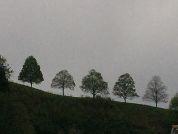 Scenic view of grassy field