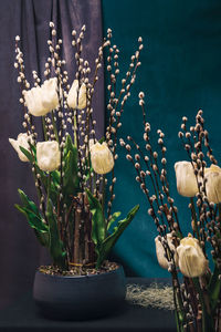 Close-up of potted plants on table