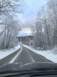 Road amidst trees seen through car windshield