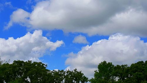 Low angle view of trees against cloudy sky