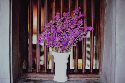 Close-up of pink flower pot against building