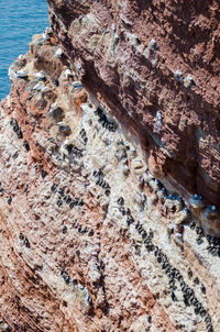 Close-up of rock on cliff