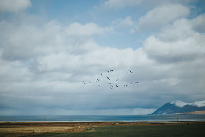 Birds flying over beach against cloudy sky