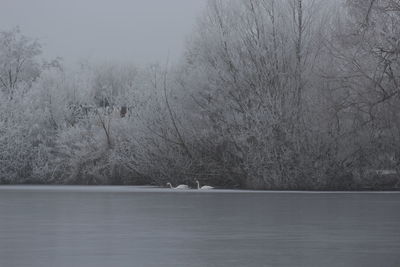 View of a lake