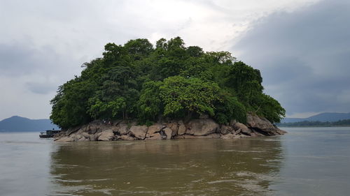 View of trees on island