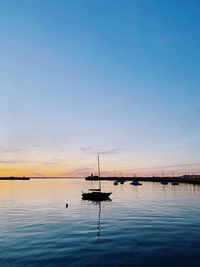 Boats in marina at sunset