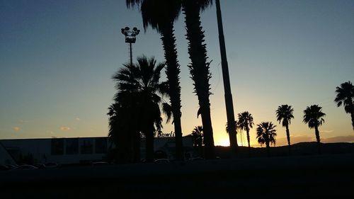 Low angle view of silhouette palm trees against clear sky