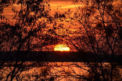 Silhouette trees by lake against orange sky