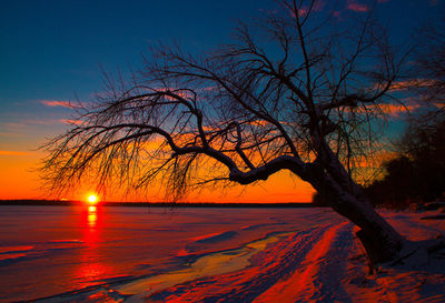 Silhouette bare tree against sky during sunset