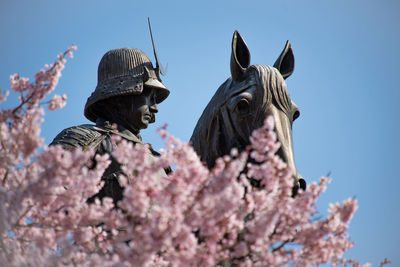 Low angle view of cherry blossom flowers