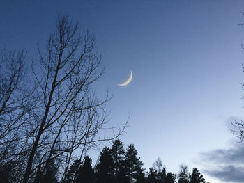 Low angle view of silhouette trees against sky at night