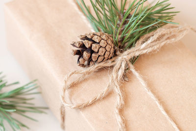 A christmas gift, packed in kraft paper and decorated with a pine branch and a cone. close-up